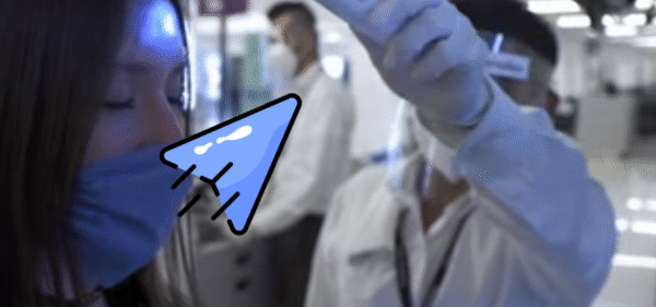 Bioseguridad en la Empresa - CURSILLO