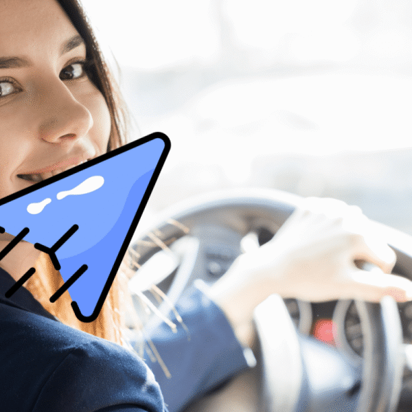 Seguridad Vial - INTRO